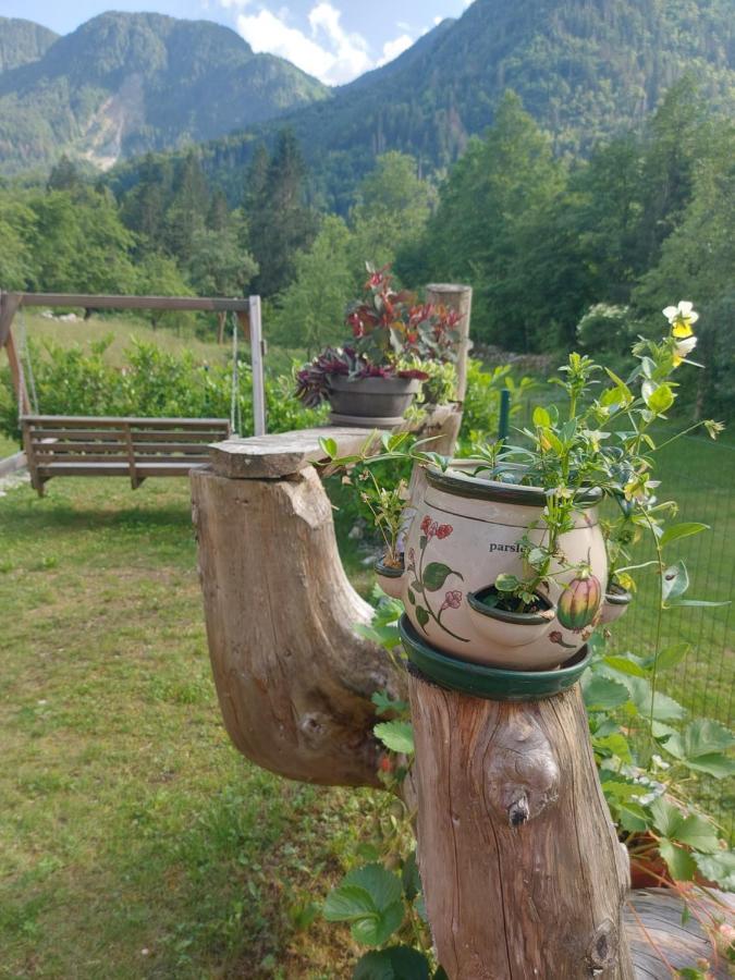 Apartmaji Katrc Soča Kültér fotó