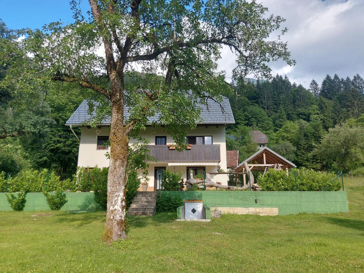 Apartmaji Katrc Soča Kültér fotó